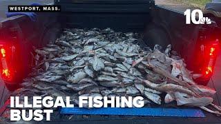 5 men fined $51,000 for illegal fishing bust in Westport Harbor