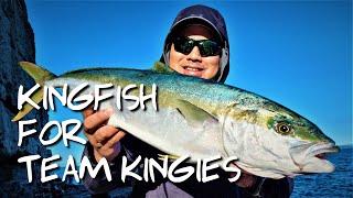 Kingfish for Team Kingies