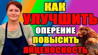 Как улучшить оперение кур после линьки. Повышаем яйценоскость кур несушек.