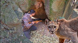 RASTREANDO UN PUMA cuevas y casas abandonadas, CAZA Y COCINA