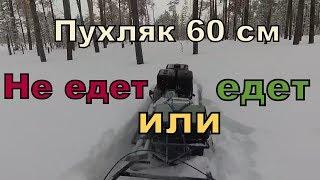 Пухляк 60 см. Тест мотособаки, мотобуксировщика.