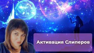 Обучение и Активация Слиперов