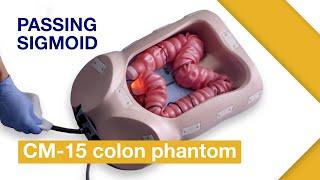 Basic Techniques of Colonoscope Insertion |Ex.3: Passing sigmoid colon without abdominal compression