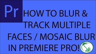 How to blur and track multiple faces in videos | Mosaic Effect | Adobe Premiere Pro