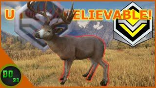 The Luckiest Shot On Our Biggest Whitetail Ever! Call Of The Wild