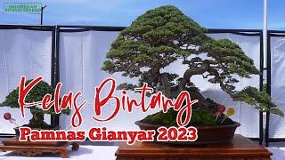 KELAS BINTANG @PAMNASBONSAIGIANYAR2023