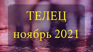 ТЕЛЕЦ Ноябрь 2021 года Таро прогноз