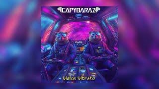 CapybaraZ - Vision Vibrate | Sol Music