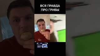 ВСЯ ПРАВДА ПРО ГРИБЫ