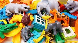 Satisfying Building Blocks Marble Run ASMR Very popular! 12 Animals Jungle course block coaster