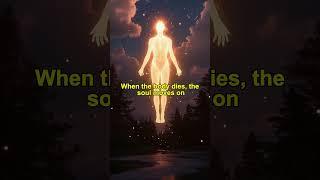 Hinduism Really Believe in Rebirth #facts #truth #sanatandharma #world #english #shorts