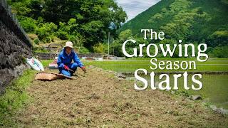 We Started a NEW Vegetable Garden (+ Day Trips with the Fam) in the Japanese Countryside