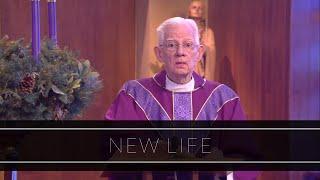 New Life | Homily: Monsignor William Fay