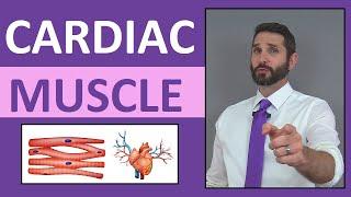 Cardiac Muscle Tissue Anatomy & Physiology Review Lecture