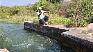 "TINY HOOKS,BIG CATCHES:VILLAGE FLOAT FISHING SECRETS!FISHER MAN CATCHING IN ROHUFISHES AND BAAMFISH