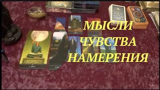 ️МЫСЛИ ЧУВСТВА ДЕЙСТВИЯ Диагностика отношений/Гадание на Таро он-лайн/Расклад Таро