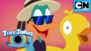 SPECIAL: Spring Beak  | Tiny Toons Looniversity | Cartoon Network