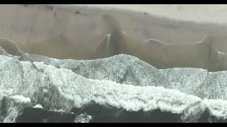 waves clip