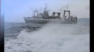 Аудиокнига "Толкование сновидений" (Морские рассказы) Петр Василевский