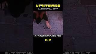影視：道士圍著棺材念咒語時，女尸的肚子竟詭異般迅速變大 #神话 #神仙 #奇幻 #玄幻 #修仙