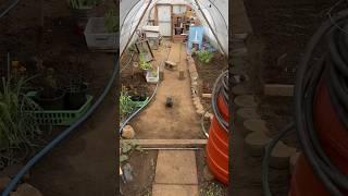 Geothermal work #shorts #viral