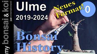 Bonsai 2025 Bonsai History Folge 0