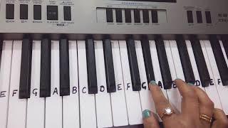 Mere Angne mein tumhara kya kaam hai on keyboard piano |harmonium|Slow in end|