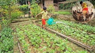 120 days living alone off the grid, raising chickens, growing vegetables to sell at the market.