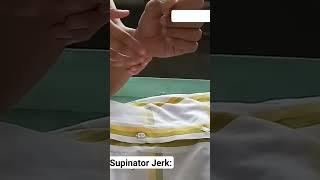 Supinator or Brachioradialis Jerk: