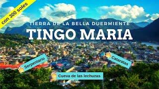 TINGO MARÍA: como llegar gastando poco / Perú /  LYBERATE