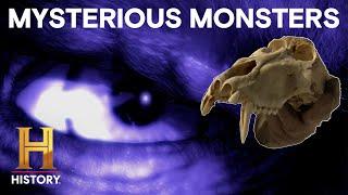 MonsterQuest: Mysterious Monsters On the LOOSE *2 Hour Marathon*