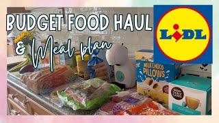 BUDGET FOOD HAUL FROM LIDL + MEAL PLAN | GROCERY HAUL UK