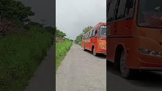 buses malik travel soon velly #buses #viral #publictransport #trending