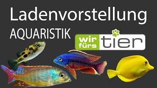 Wir fürs Tier Göppingen / Aquaristikabteilung / WFT