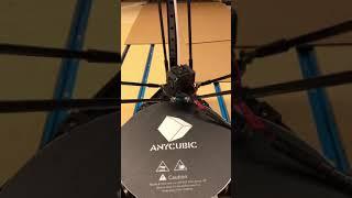 AnyCubic Kissel Plus Linear Crash