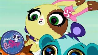 Littlest Pet Shop | Topped With Buttercream | Season 1 | Pet Cartoon