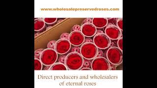 Wholesale Preserved roses