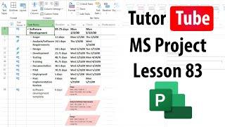 Microsoft Project - Lesson 83 - Creating Custom Filters and Sub Filters