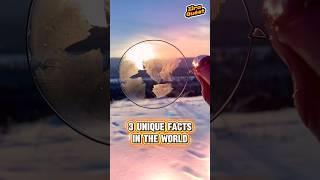 3 Unique Facts In The World ‼️ #shorts #feedshorts #facts