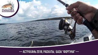 Рыбалка Астрахань 2018, на раскатах.