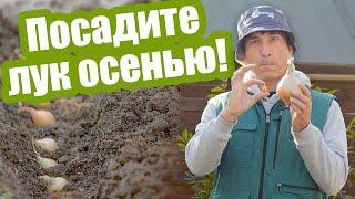 Сажаем ЛУК ПОД ЗИМУ сеем семена и севок! Как посадить чернушку под зиму