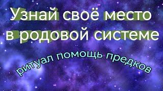 Моё место в родовой системемои задачи для родаТаро расклад