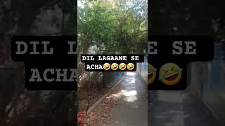 dil lagane se acha ye kare🪴 #funny #ytshorts #viral #viralsound #usethisaudio usethis