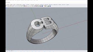 Rhino Basics - Quick text Signet