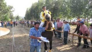 carrera la chilena, corrido a homenaje para todos los jugadores de las carreras a la chilena