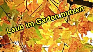 Laub im Garten sinnvoll nutzen & nicht entsorgen - Herbstlaub im Garten verwenden