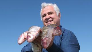 FISH KUTUM on the HUGE FRYING PAN