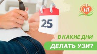   В какие дни менструального цикла можно делать УЗИ?