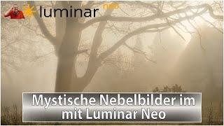 Herbst, die Magie der Herbstbilder mit Luminar Neo