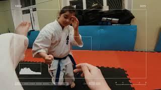 КАРАТЭ ОТ ПЕРВОГО ЛИЦА/STRUIN DOJO